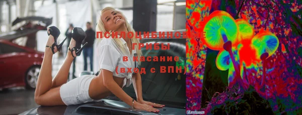 марки lsd Гусиноозёрск