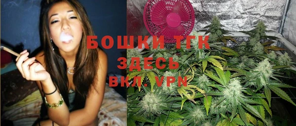 не бодяженный Бородино